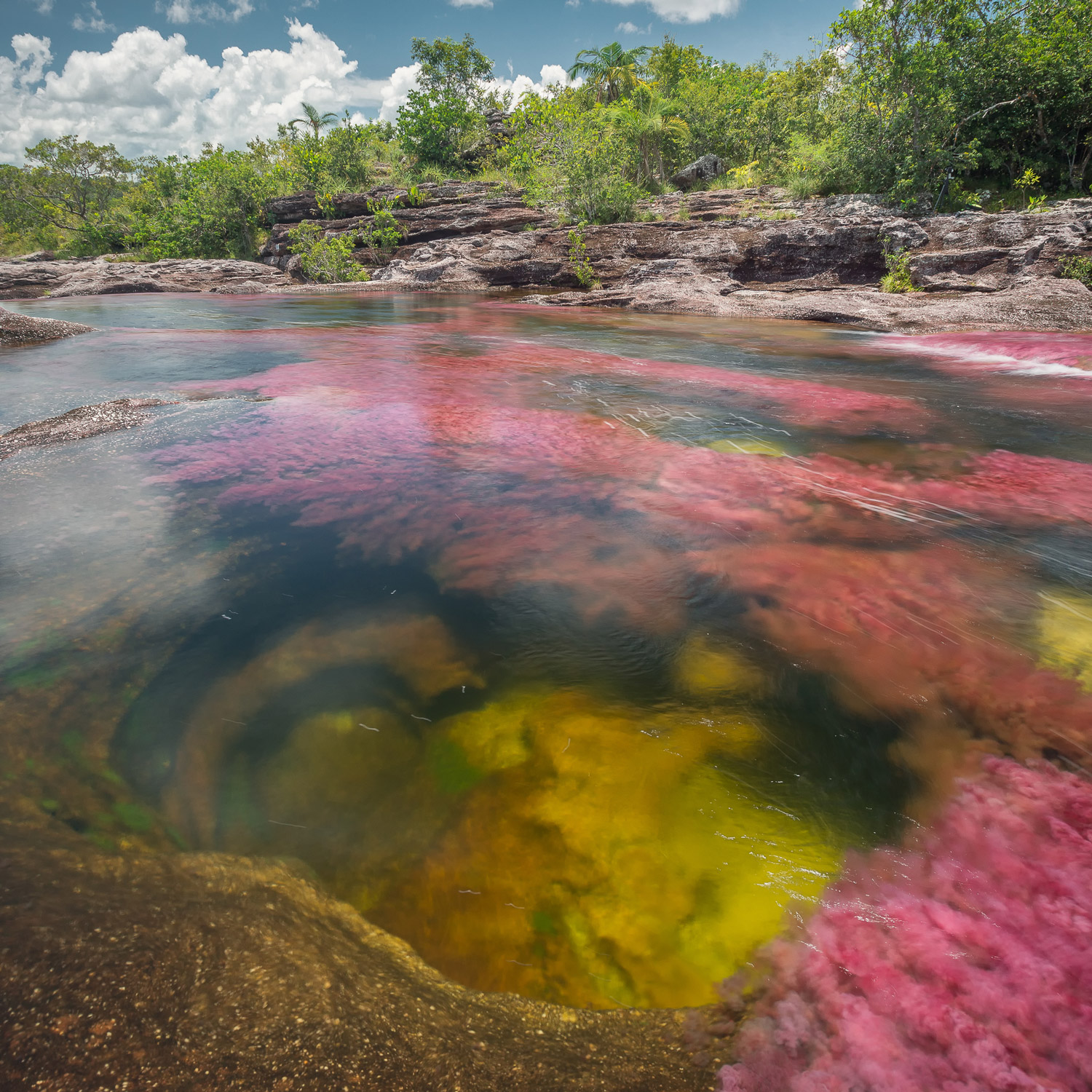 ¿Dónde está ubicado Caño Cristales?