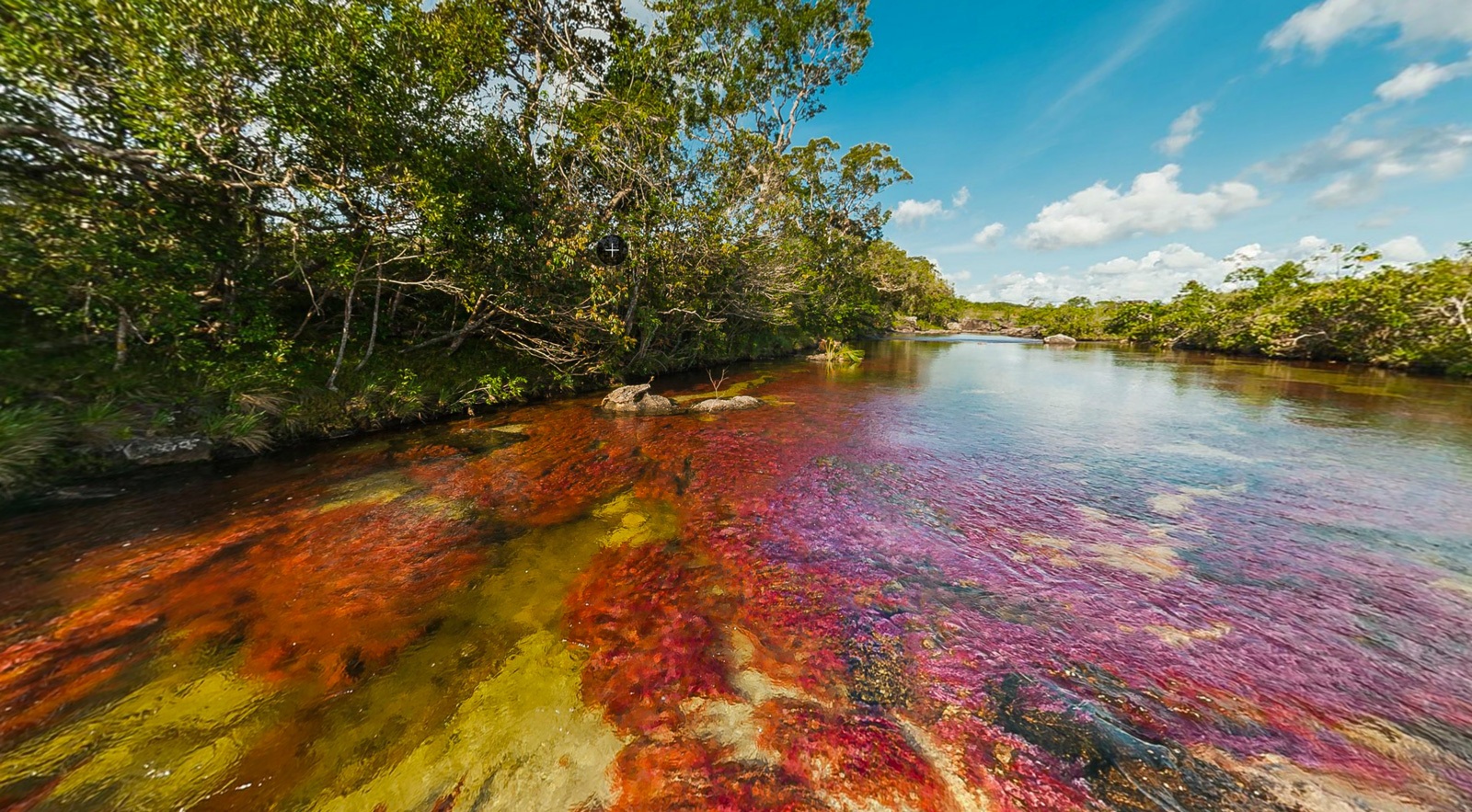 Fotografía 360 de El Tapete en Caño Cristales