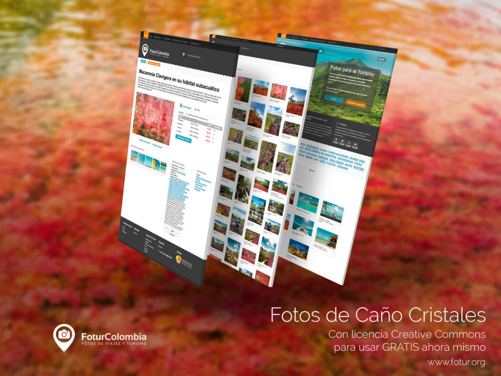 Fotur: la plataforma para descargar fotos gratis para promocionar el turismo colombiano