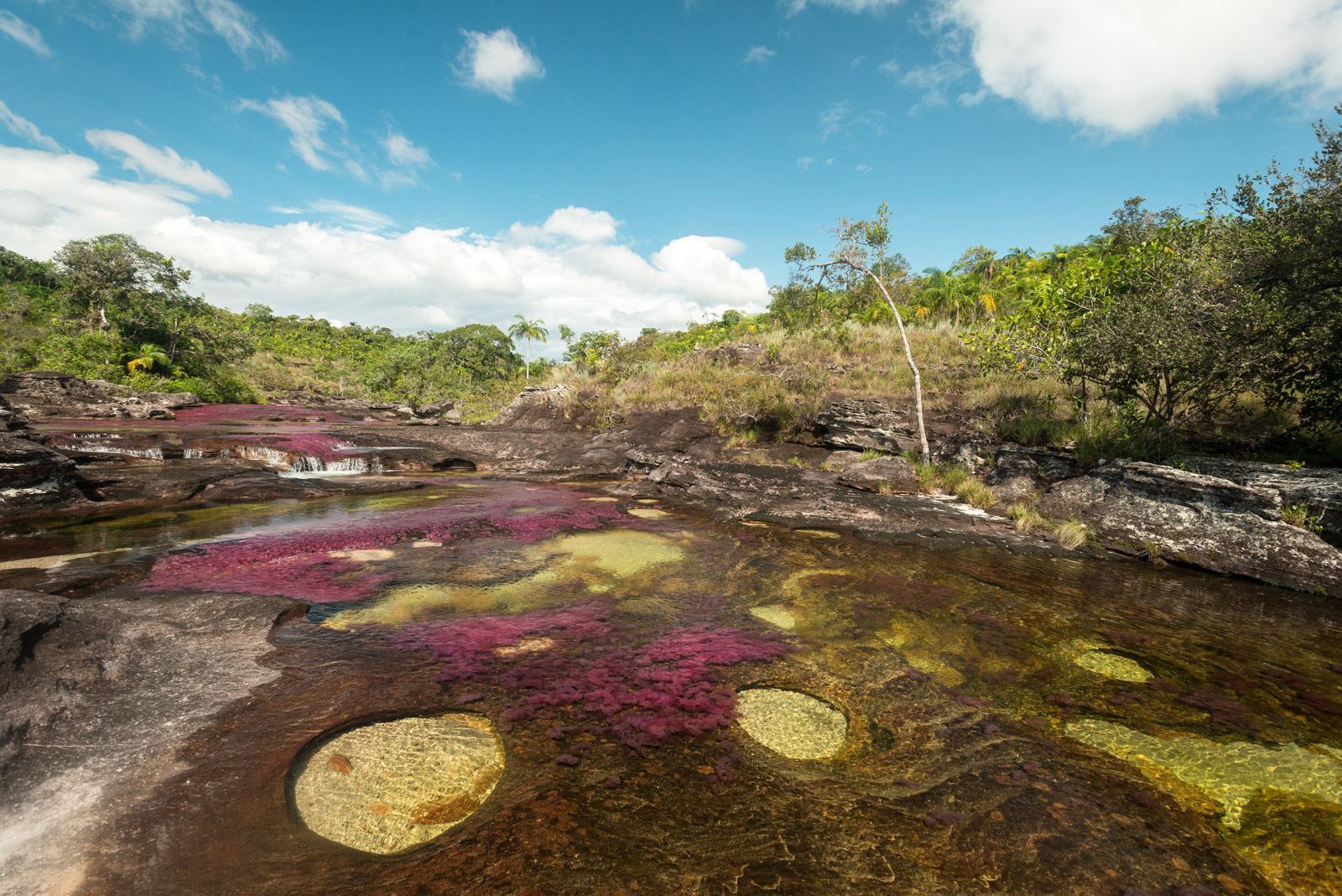 Decameron Caño Cristales Colombia La Macarena Meta