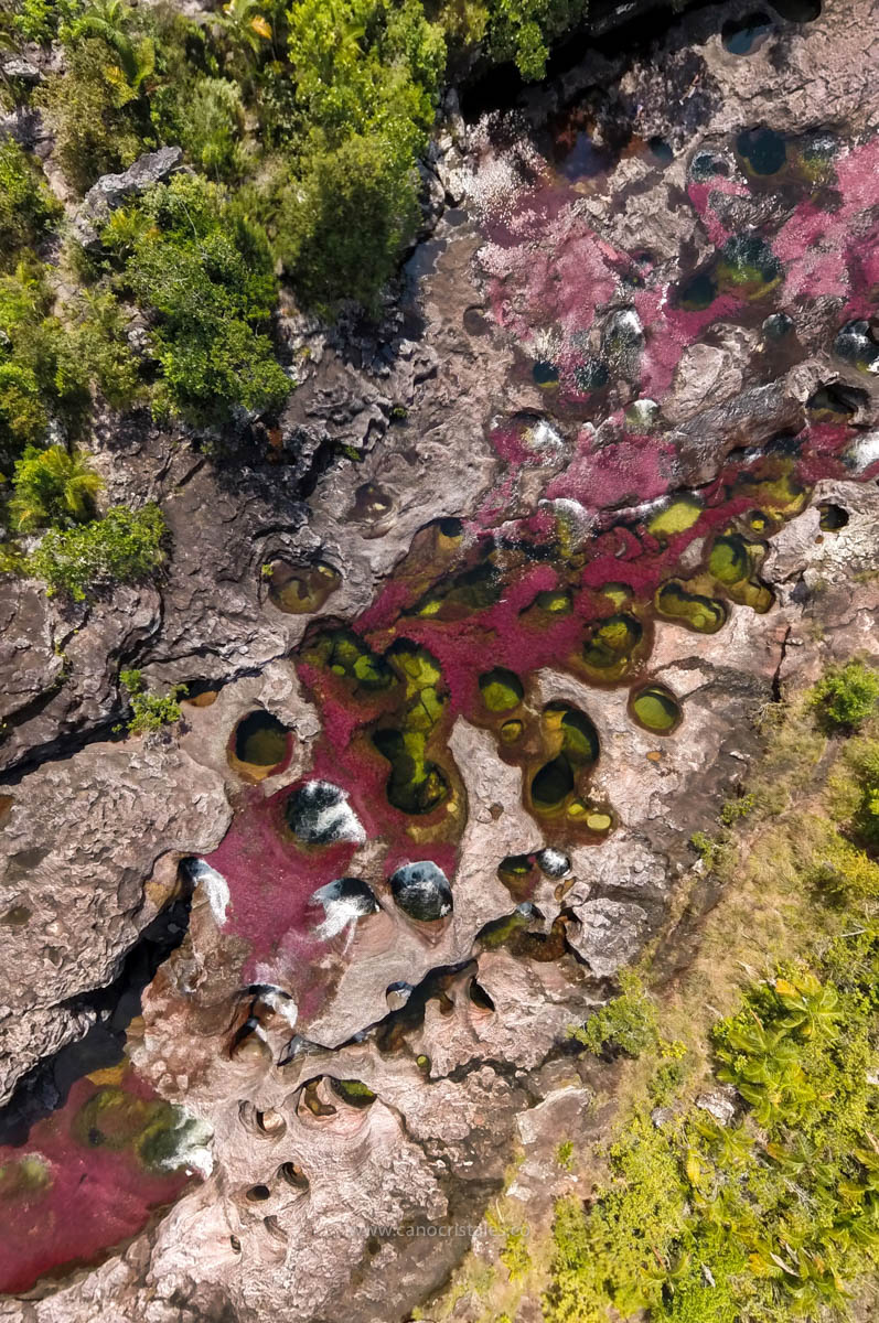 Los Ochos, vista aérea / Caño Cristales, Colombia