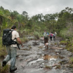 Senderos para hacer trekking para llegar a Caño Cristales, aprobados por Cormacarena y Parques Nacionales Naturales
