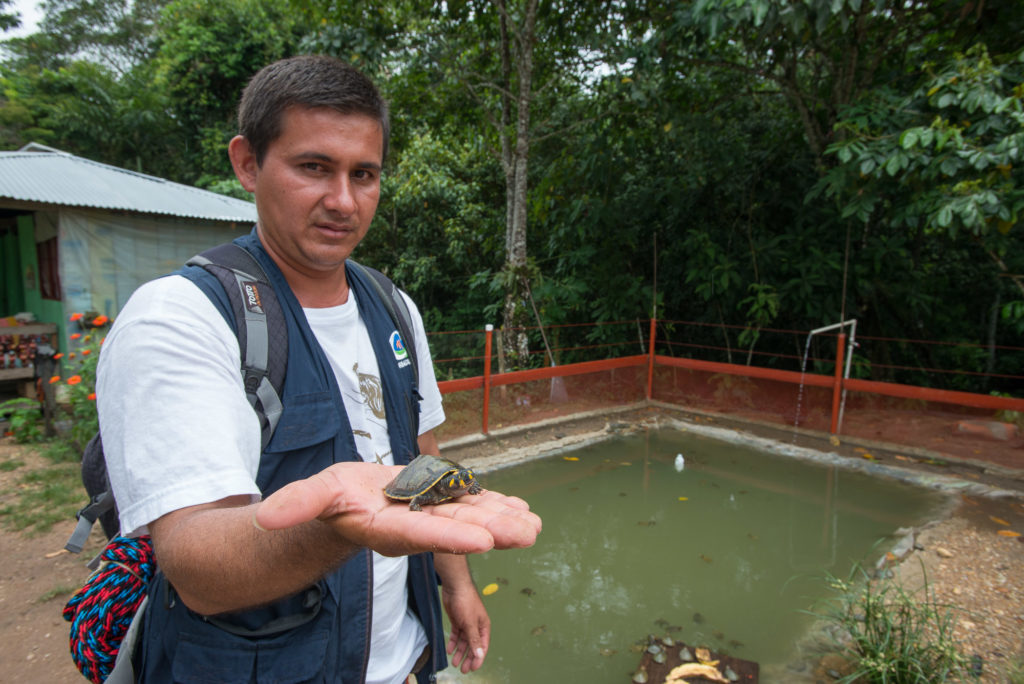 Romero, además de guía, tiene un proyecto de conservación de tortugas en su finca.